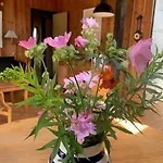 Vakantiehuis Charming Near And Town