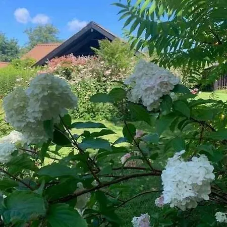 Charming Near And Town