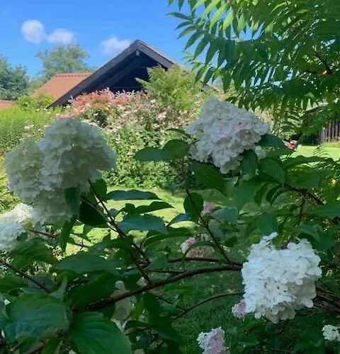 Charming Near And Town